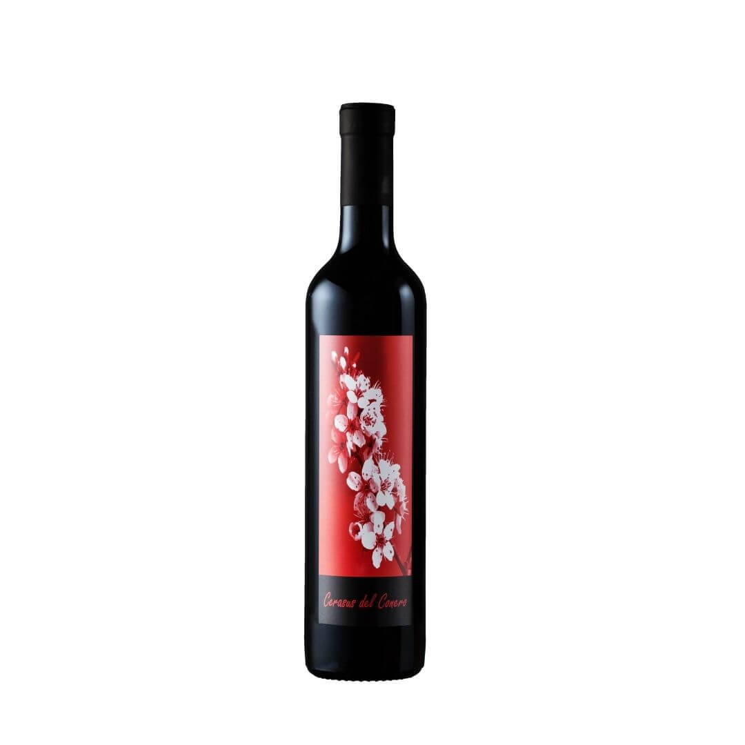 bevanda-aromatizzata-a-base-di-vino-e-visciole-rosso-Conero-Montepulciano-Marche